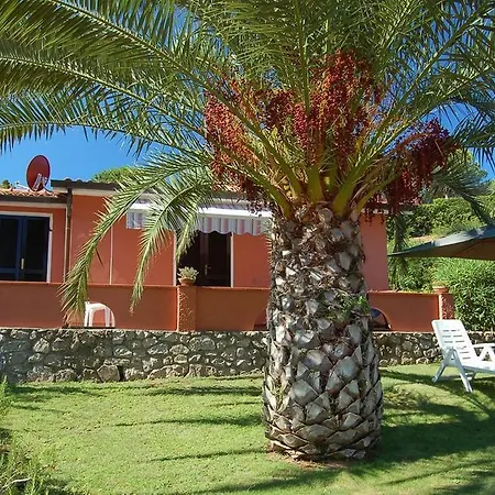 Franca